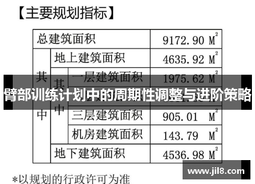臂部训练计划中的周期性调整与进阶策略